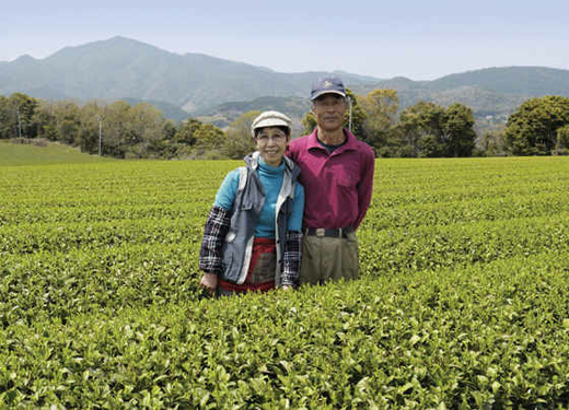 Petit Producteur Thé Vert Japonais Famille Morimoto